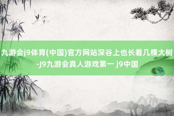 九游会j9体育(中国)官方网站深谷上也长着几棵大树-J9九游会真人游戏第一 j9中国