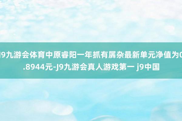 J9九游会体育中原睿阳一年抓有羼杂最新单元净值为0.8944元-J9九游会真人游戏第一 j9中国