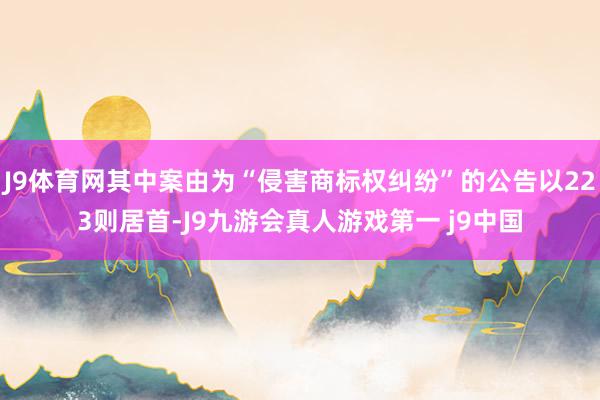 J9体育网其中案由为“侵害商标权纠纷”的公告以223则居首-J9九游会真人游戏第一 j9中国