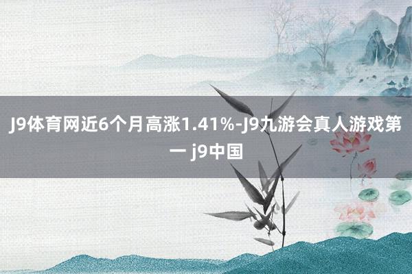 J9体育网近6个月高涨1.41%-J9九游会真人游戏第一 j9中国