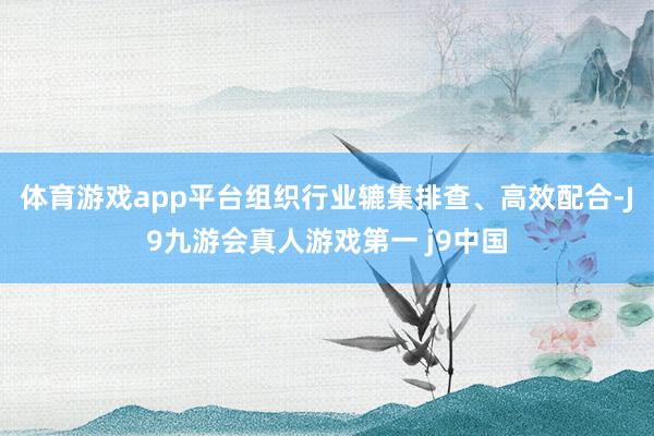 体育游戏app平台组织行业辘集排查、高效配合-J9九游会真人游戏第一 j9中国