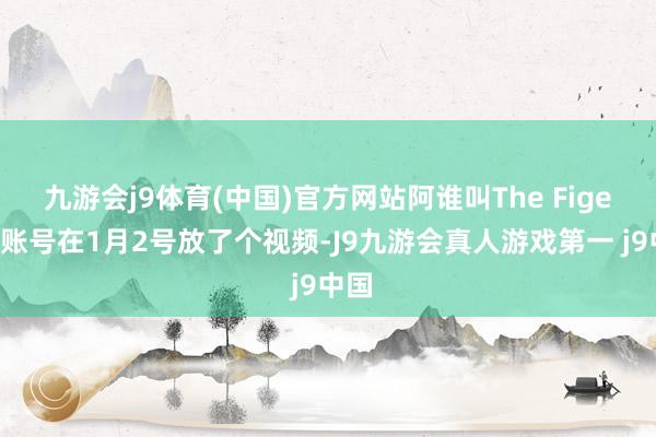 九游会j9体育(中国)官方网站阿谁叫The Figen的账号在1月2号放了个视频-J9九游会真人游戏第一 j9中国