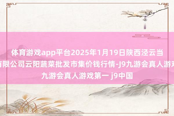 体育游戏app平台2025年1月19日陕西泾云当代农业股份有限公司云阳蔬菜批发市集价钱行情-J9九游会真人游戏第一 j9中国